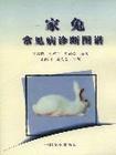 (圖)《家兔常見病診斷圖譜》