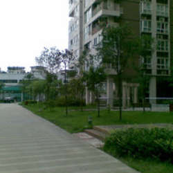 西城星座 西城星座