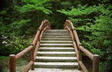 雷公山國家森林公園