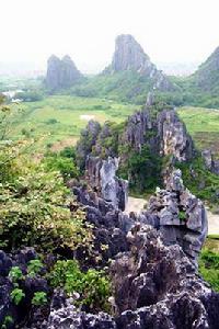 春灣石林 春灣石林