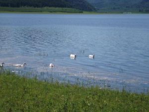 大綏河鎮 大綏河鎮