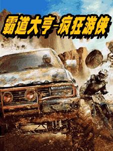 瘋狂遊俠霸道大亨