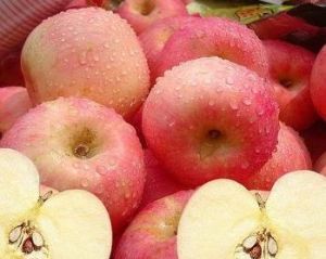 蘋果醋片 蘋果醋片