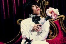 懸崖玫瑰 懸崖玫瑰