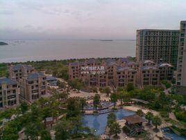 源昌鑫海灣 源昌鑫海灣