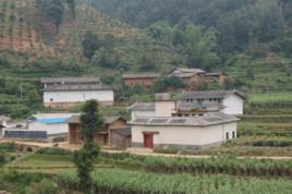 水井村[雲南省昭通市昭陽區蘇甲鄉水井村]