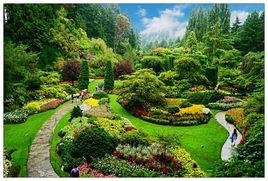 寶翠花園 寶翠花園