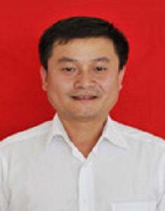 向守清[原武漢東西湖區人大常委會主任]