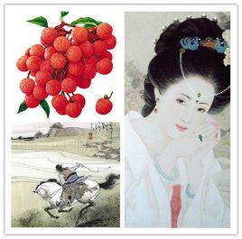 貴妃荔枝 貴妃荔枝