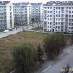 草芳新苑 草芳新苑