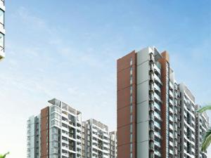 九州家園 九州家園