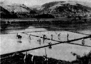 革命根據地大生產運動