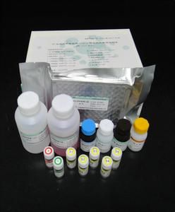 線粒體酶免試劑盒 線粒體酶免試劑盒