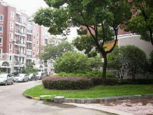 蘭坪一村 蘭坪一村