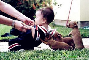 利他行為 利他行為