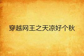 穿越網王之天涼好個秋 穿越網王之天涼好個秋