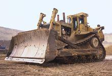 Nst[人格心理學]