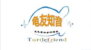 龜友知音 龜友知音