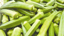 黃秋葵嫩莢 黃秋葵嫩莢