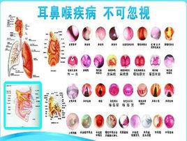 耳鼻喉學 耳鼻喉學