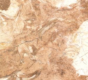 火舞黃砂 | Fantastic |