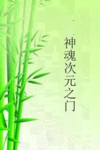 神魂次元之門 神魂次元之門