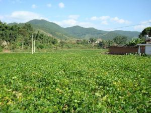 文道營自然村 文道營自然村