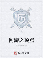 網遊之頂點 網遊之頂點