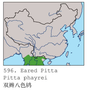 分布範圍或標本記錄點圖