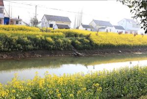 東園村新石器時代遺址