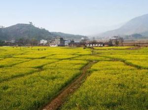 英德市沙口鎮 英德市沙口鎮