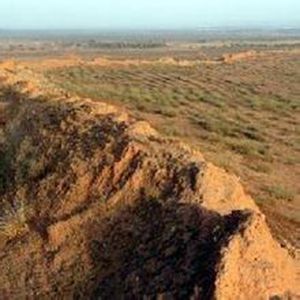 副熱帶半乾旱氣候