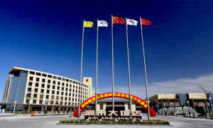 中國巨力集團 中國巨力集團