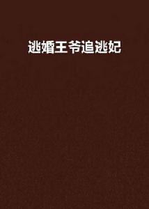 逃婚王爺追逃妃 逃婚王爺追逃妃