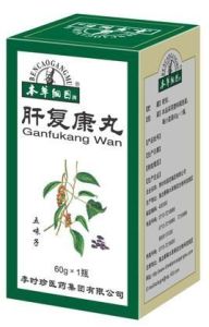 肝復康丸 肝復康丸