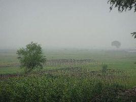 蓮花口村 蓮花口村