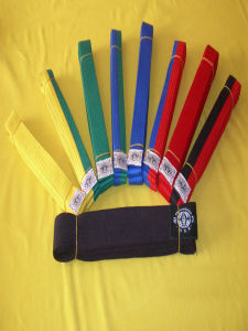 跆拳道等級 跆拳道等級