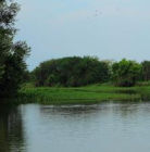 巴拉圭河 巴拉圭河