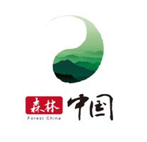 森林中國 森林中國