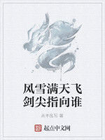 風雪滿天飛劍尖指向誰