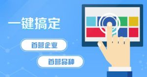 電子首營 電子首營