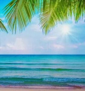 無極屏保 無極屏保