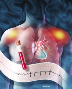 心肺是人體重要的器官