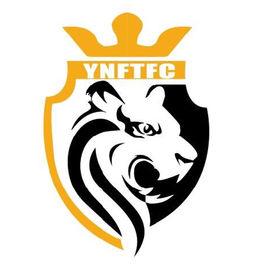 雲南飛虎足球俱樂部 雲南飛虎足球俱樂部