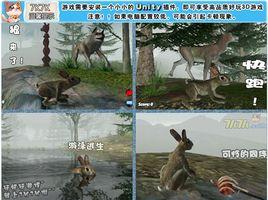 當你變成兔子 當你變成兔子