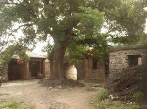 史長峪村 史長峪村