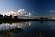 米庫米國家公園