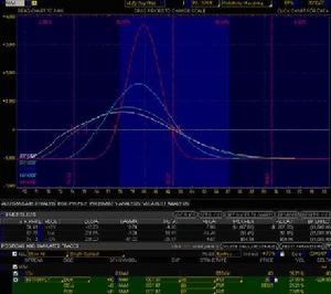 管理期權金：支出$0.26/契約