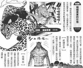 貓貓果實 貓貓果實