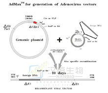 admax系統流程圖